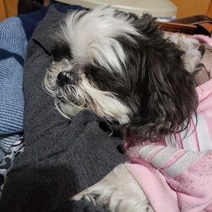 Meet your Posher, Maria